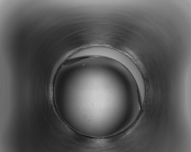 X0000088401188200705291422