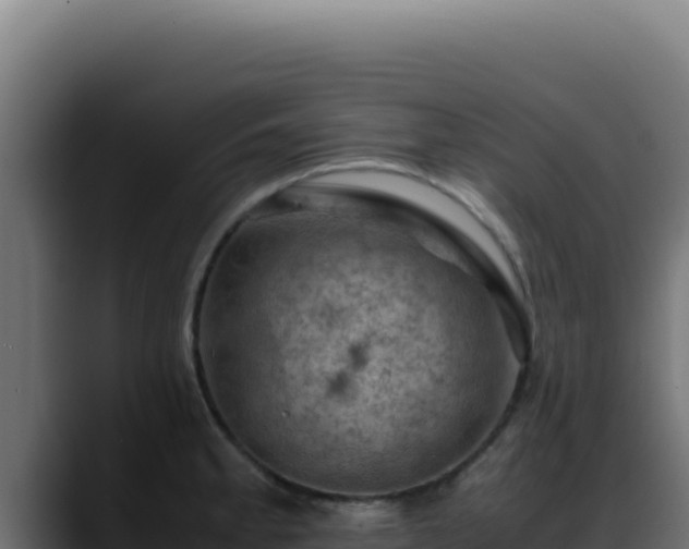 X0000088401189200705291422