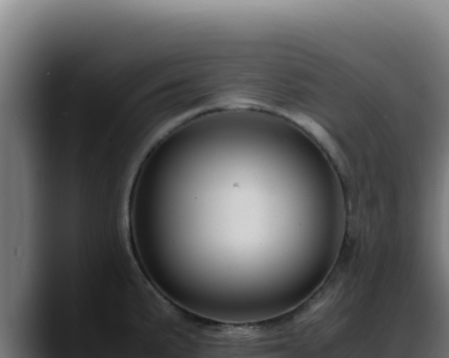 X0000088401191200705291422