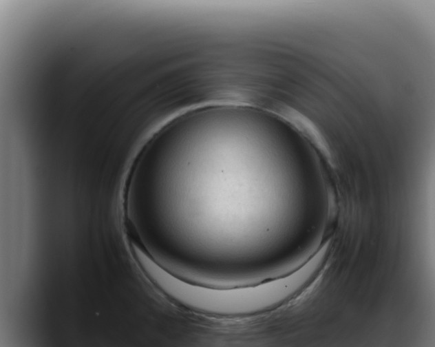 X0000088401192200705291422