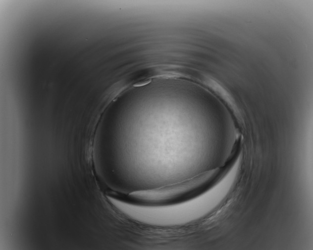 X0000088401193200705291422