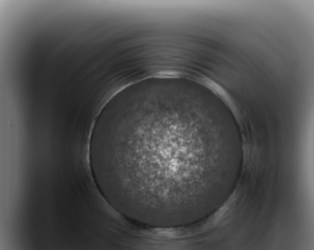 X0000088401194200705291422