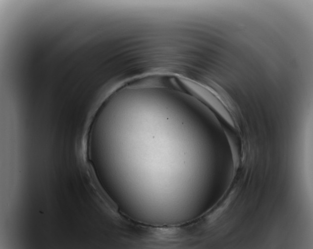 X0000088401196200705291422