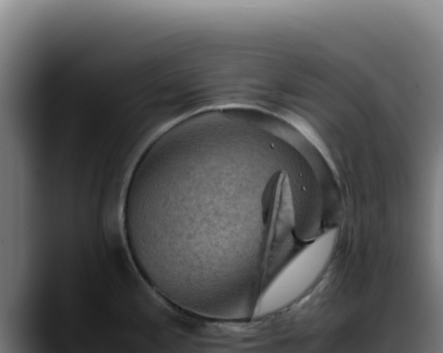 X0000088401197200705291422