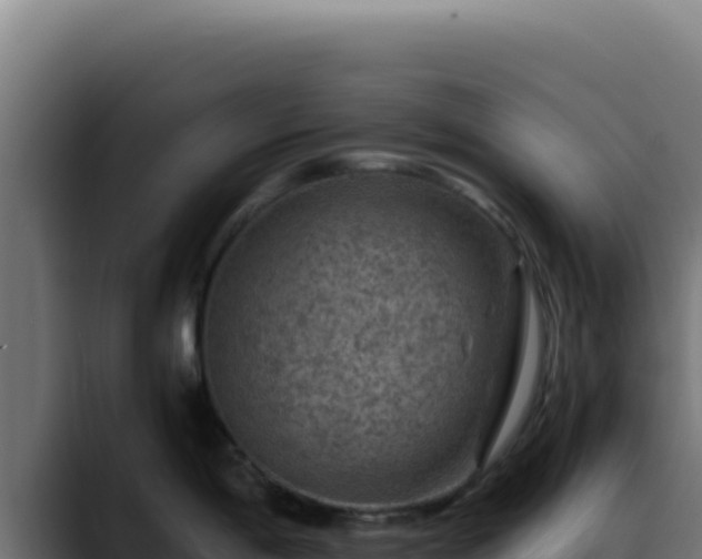 X0000088401198200705291422