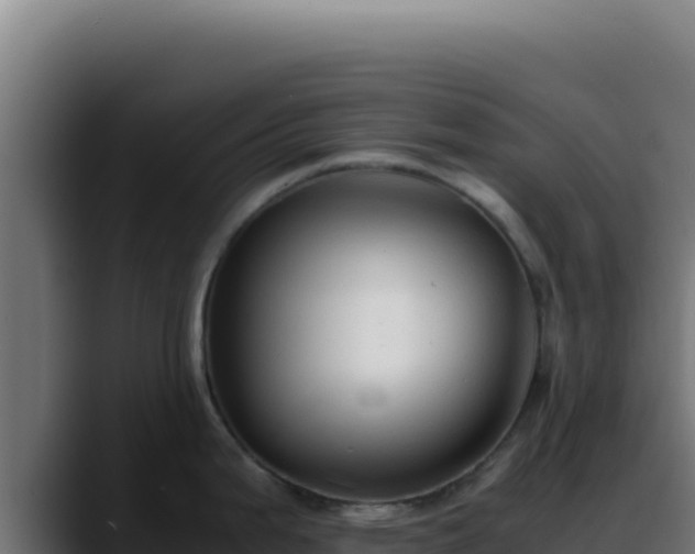 X0000088401199200705291422