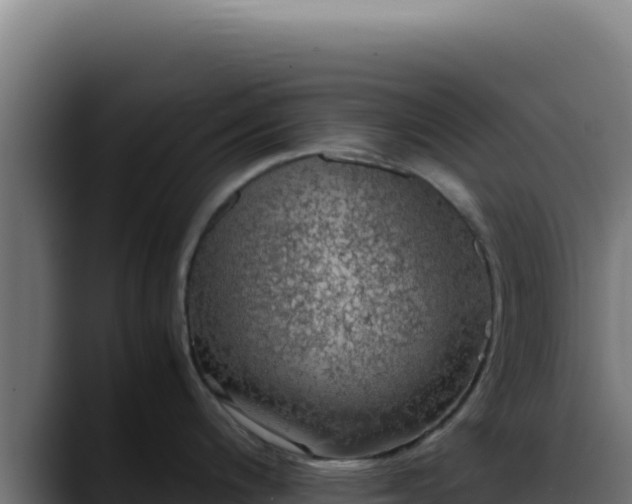 X0000088401200200705291422