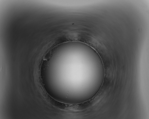 X0000088401201200705291422