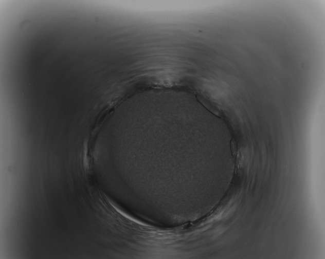 X0000088401202200705291422