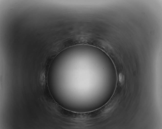 X0000088401203200705291422