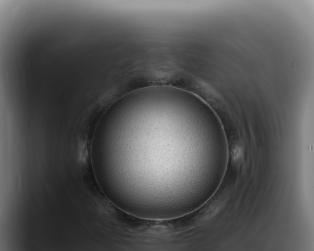 X0000088401204200705291422