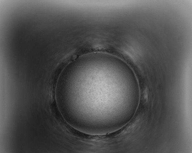 X0000088401205200705291422