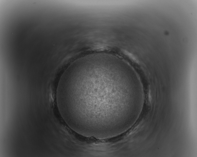 X0000088401206200705291422