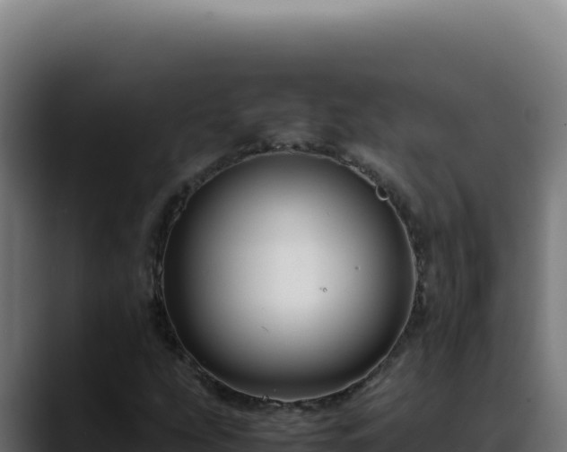 X0000088401207200705291422