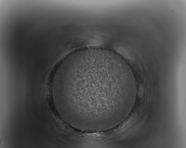 X0000088401208200705291422