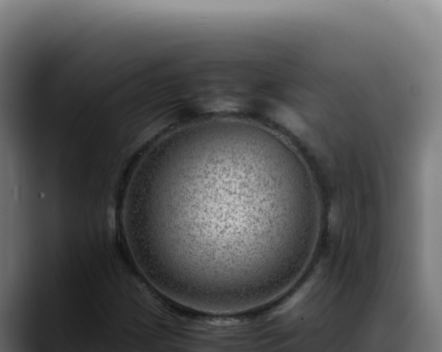 X0000088401209200705291422