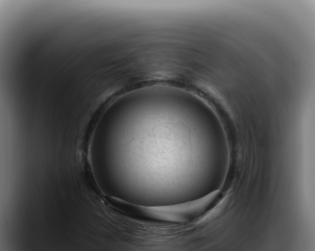 X0000088401210200705291422