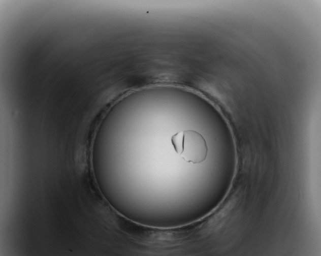 X0000088401211200705291422