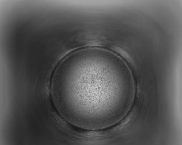 X0000088401212200705291422