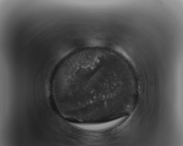 X0000088401213200705291422