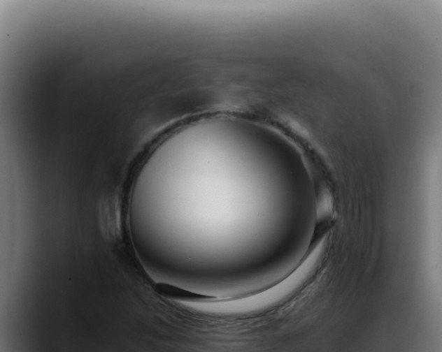 X0000088401214200705291422