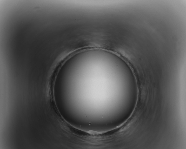 X0000088401215200705291422