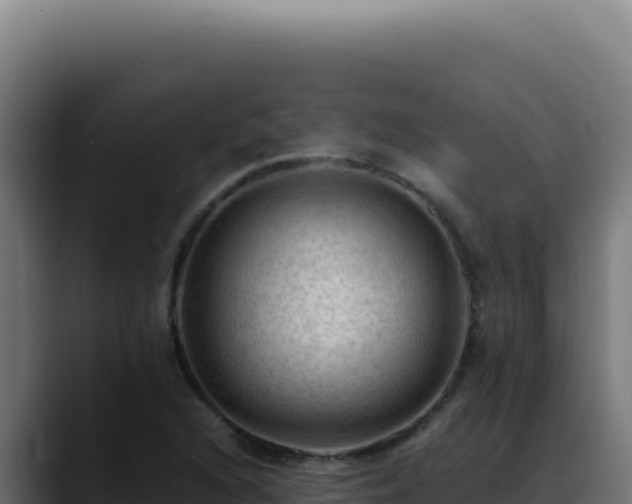 X0000088401216200705291422