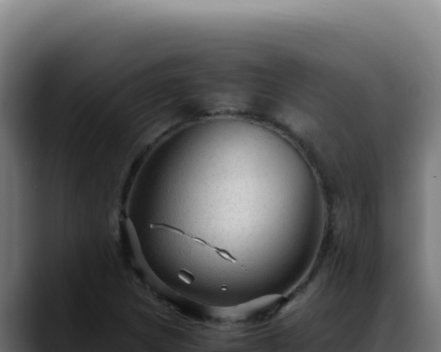 X0000088401217200705291422