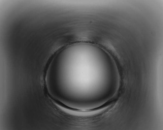 X0000088401218200705291422