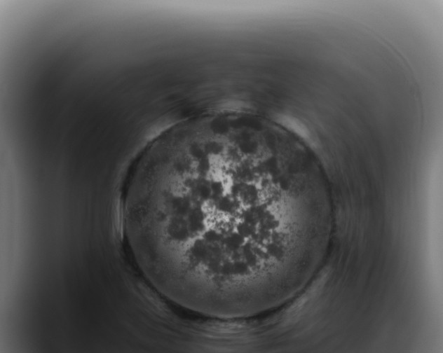 X0000088401219200705291422