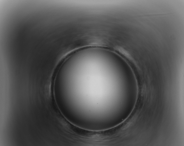 X0000088401222200705291422