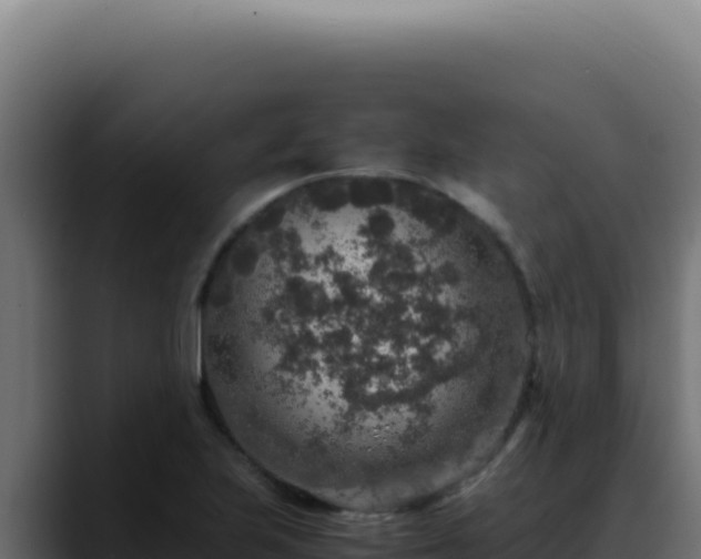 X0000088401223200705291422