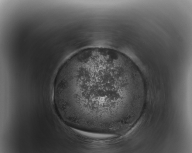 X0000088401224200705291422