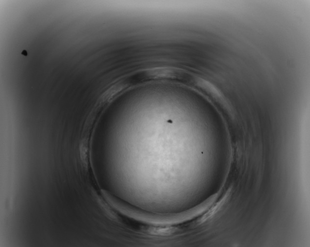 X0000088401225200705291422