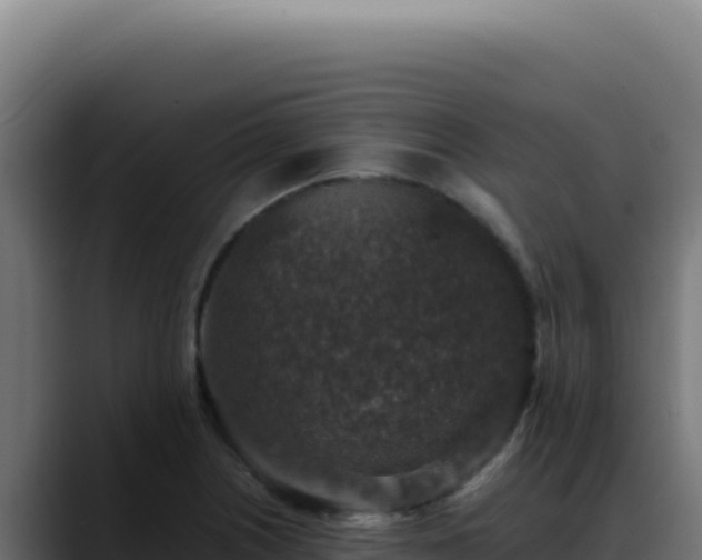 X0000088401226200705291422