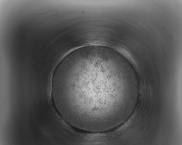 X0000088401228200705291422