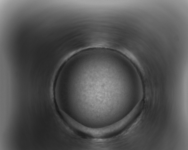 X0000088401230200705291422