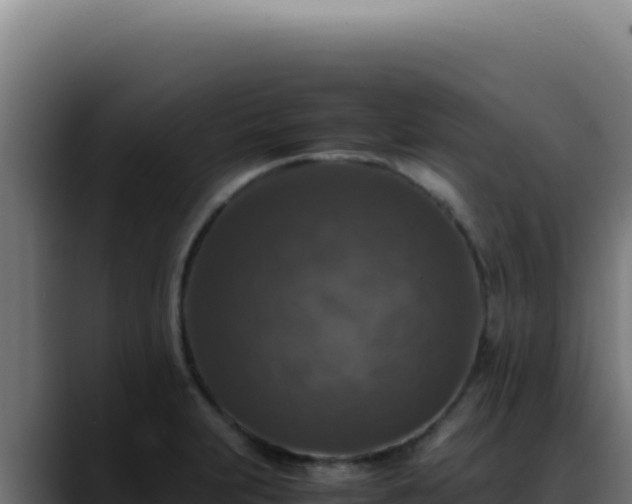 X0000088401231200705291422