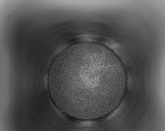 X0000088401233200705291422