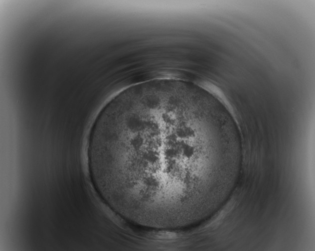 X0000088401235200705291422