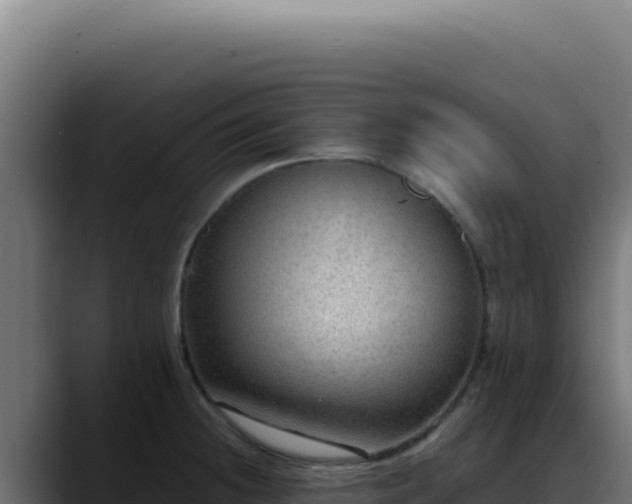 X0000088401236200705291422