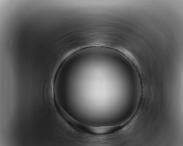 X0000088401238200705291422