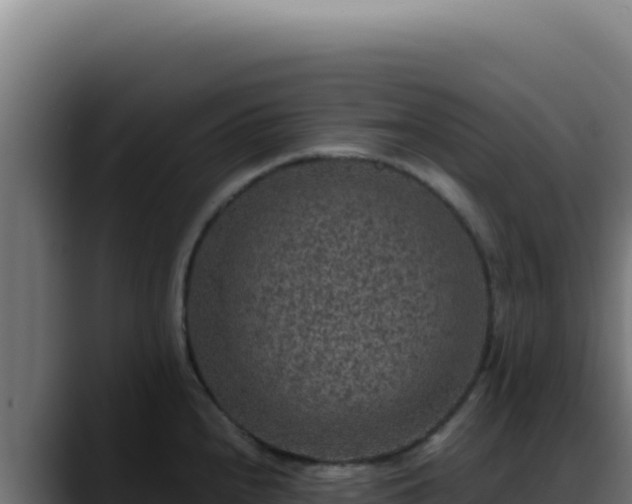 X0000088401240200705291422