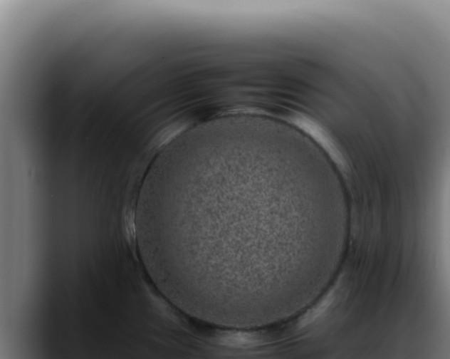 X0000088401241200705291422