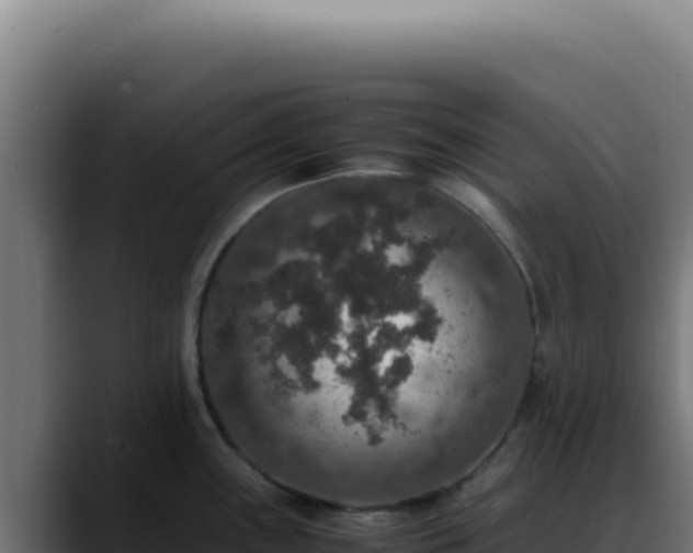 X0000088401243200705291422