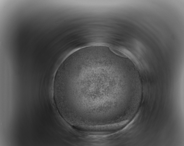 X0000088401244200705291422