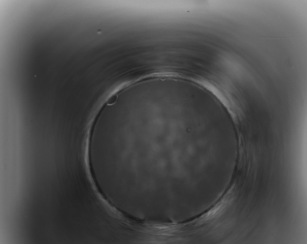 X0000088401245200705291422