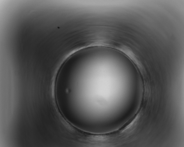 X0000088401246200705291422