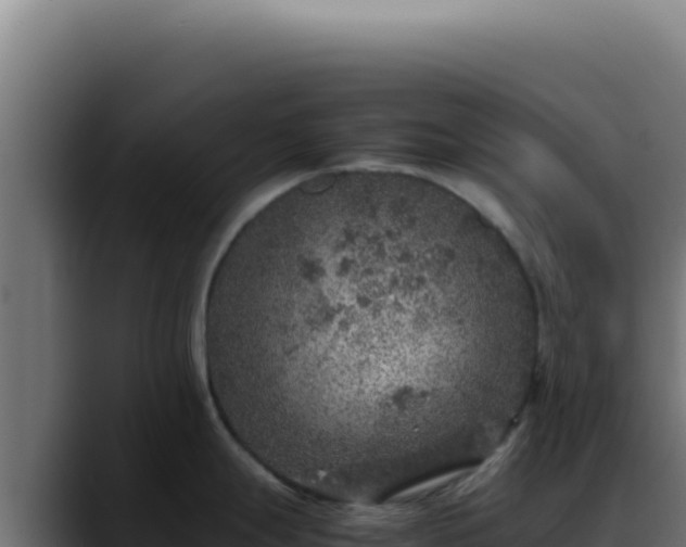 X0000088401247200705291422