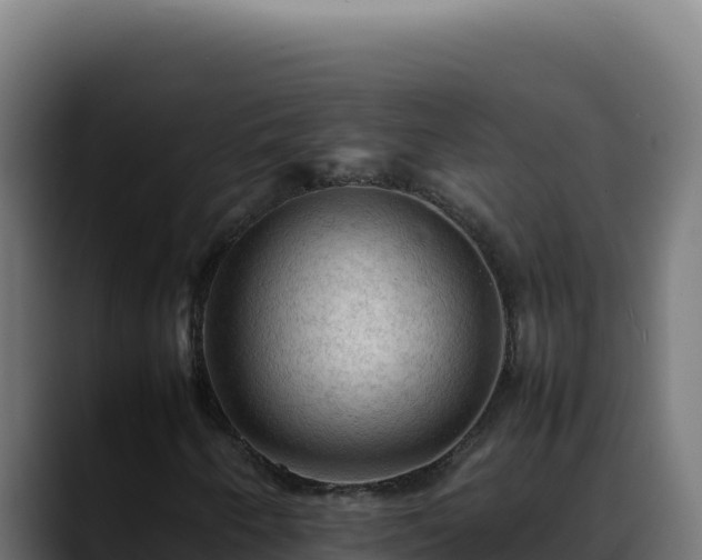 X0000088401250200705291422